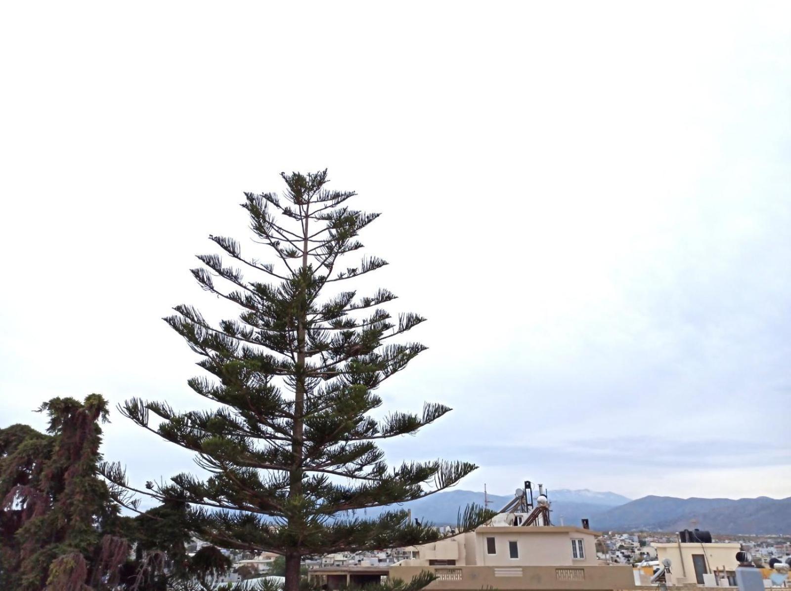 شقة Renovated Loft Near The Center كاندية المظهر الخارجي الصورة